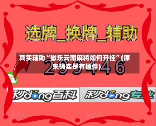 真实辅助“微乐云南麻将如何开挂”(原来确实是有插件)-第2张图片