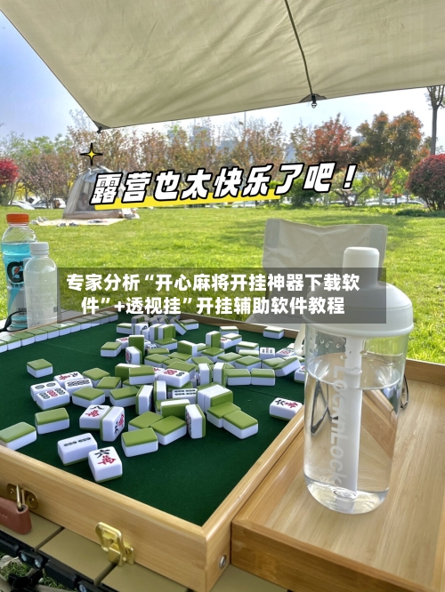 专家分析“开心麻将开挂神器下载软件”+透视挂”开挂辅助软件教程-第2张图片