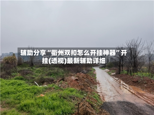 辅助分享“衢州双扣怎么开挂神器”开挂(透视)最新辅助详细-第3张图片