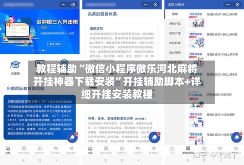 教程辅助“微信小程序微乐河北麻将开挂神器下载安装”开挂辅助脚本+详细开挂安装教程-第3张图片