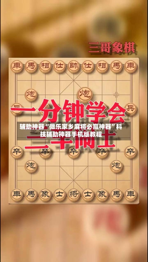 辅助神器“微乐家乡麻将必赢神器”科技辅助神器手机版教程-第2张图片