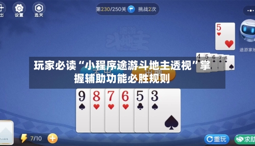 玩家必读“小程序途游斗地主透视”掌握辅助功能必胜规则-第2张图片