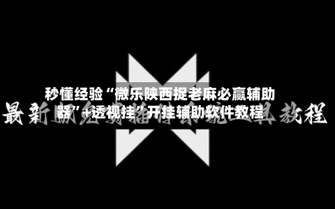 秒懂经验“微乐陕西捉老麻必赢辅助器”+透视挂”开挂辅助软件教程