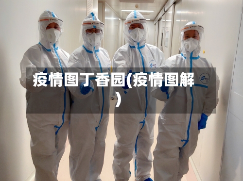 疫情图丁香园(疫情图解)-第3张图片