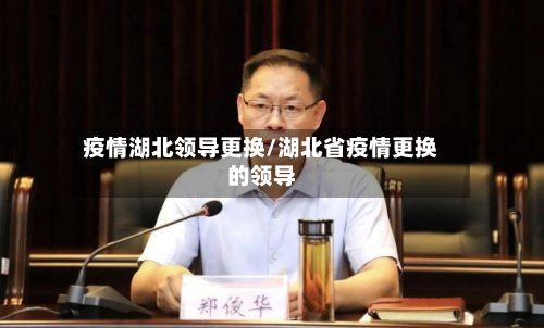 疫情湖北领导更换/湖北省疫情更换的领导-第3张图片