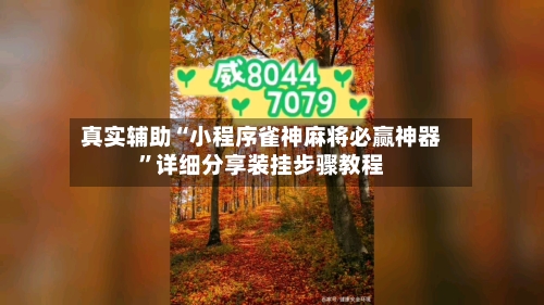 真实辅助“小程序雀神麻将必赢神器”详细分享装挂步骤教程-第2张图片