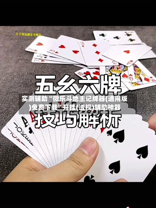 实测辅助“微乐斗地主记牌器(通用版)免费下载	”开挂(透视)辅助神器-第2张图片