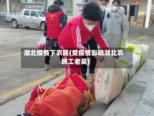 湖北疫情下农民(受疫情影响湖北农民工老吴)