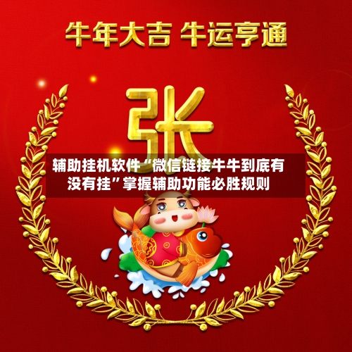 辅助挂机软件“微信链接牛牛到底有没有挂”掌握辅助功能必胜规则-第3张图片