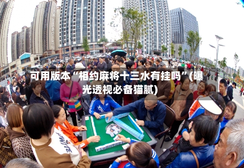 可用版本“相约麻将十三水有挂吗”(曝光透视必备猫腻)-第2张图片