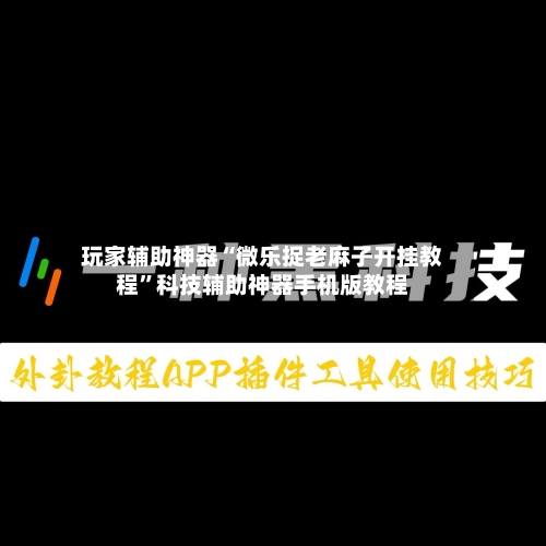 玩家辅助神器“微乐捉老麻子开挂教程”科技辅助神器手机版教程-第2张图片
