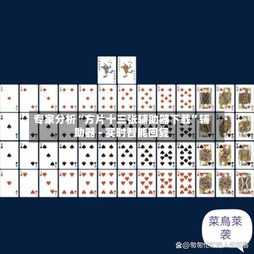 专家分析“方片十三张辅助器下载”辅助器 - 实时智能回复-第2张图片