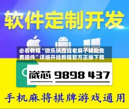 必看教程“微乐陕西捉老麻子辅助免费插件”详细开挂教程官方正版下载-第2张图片