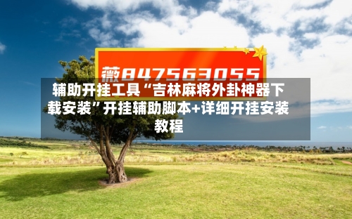 辅助开挂工具“吉林麻将外卦神器下载安装”开挂辅助脚本+详细开挂安装教程-第2张图片