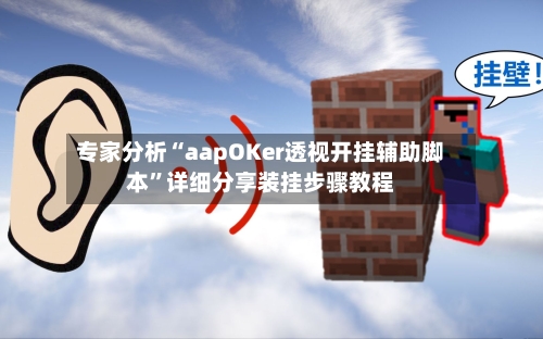 专家分析“aapOKer透视开挂辅助脚本”详细分享装挂步骤教程-第2张图片