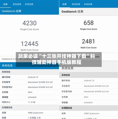 玩家必读“十三张开挂神器下载	”科技辅助神器手机版教程-第2张图片
