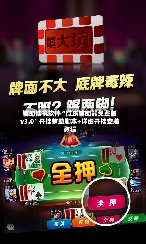 辅助挂机软件“微乐辅助器免费版v3.0	”开挂辅助脚本+详细开挂安装教程-第2张图片