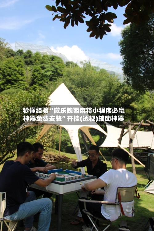 秒懂经验“微乐陕西麻将小程序必赢神器免费安装”开挂(透视)辅助神器-第3张图片