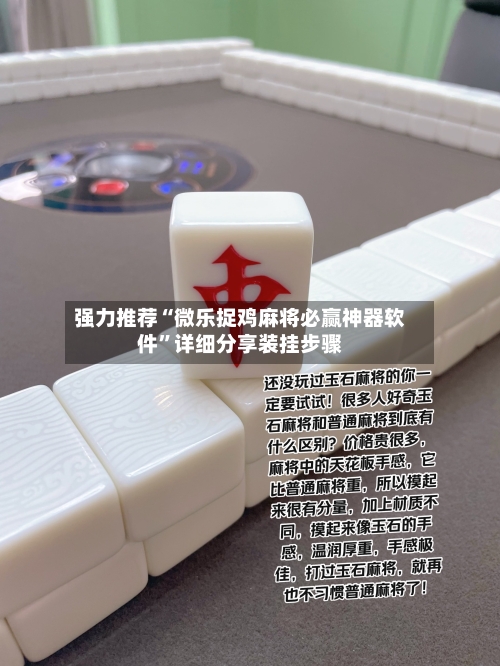 强力推荐“微乐捉鸡麻将必赢神器软件”详细分享装挂步骤-第3张图片