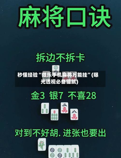 秒懂经验“微乐手机麻将万能挂”(曝光透视必备猫腻)-第2张图片