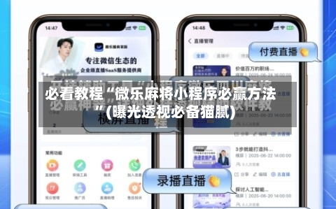 必看教程“微乐麻将小程序必赢方法	”(曝光透视必备猫腻)-第3张图片