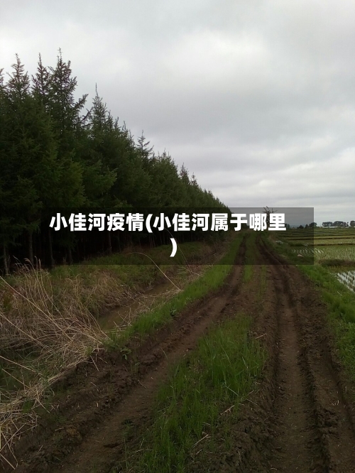 小佳河疫情(小佳河属于哪里)-第2张图片