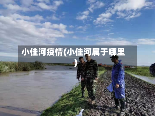 小佳河疫情(小佳河属于哪里)