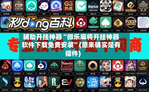 辅助开挂神器“微乐麻将开挂神器软件下载免费安装	”(原来确实是有插件)-第3张图片