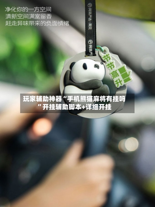 玩家辅助神器“手机熊猫麻将有挂吗”开挂辅助脚本+详细开挂-第2张图片