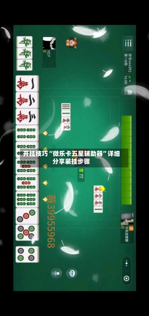 开挂技巧“微乐卡五星辅助器”详细分享装挂步骤-第2张图片