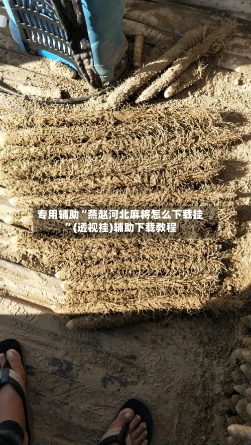 专用辅助“燕赵河北麻将怎么下载挂”(透视挂)辅助下载教程-第2张图片