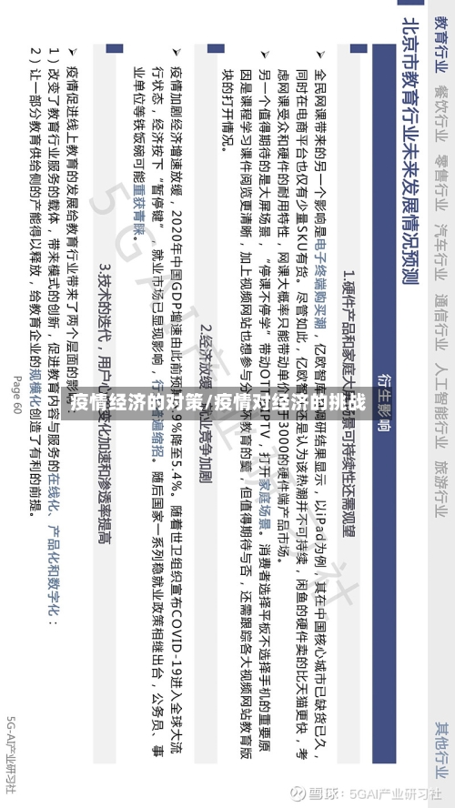 疫情经济的对策/疫情对经济的挑战