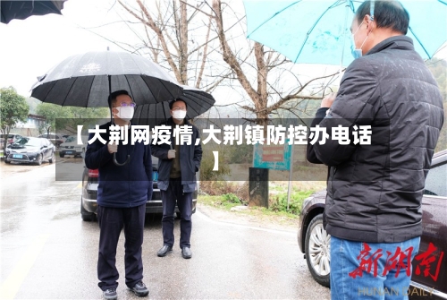 【大荆网疫情,大荆镇防控办电话】