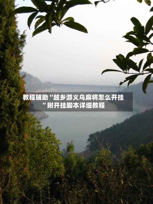 教程辅助“越乡游义乌麻将怎么开挂”附开挂脚本详细教程-第3张图片