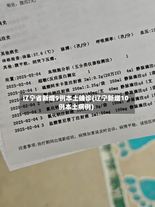 辽宁省新增9例本土确诊(辽宁新增10例本土病例)-第2张图片