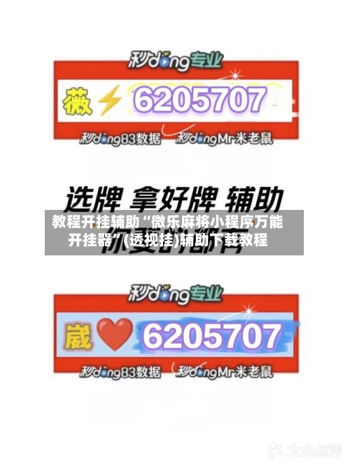 教程开挂辅助“微乐麻将小程序万能开挂器”(透视挂)辅助下载教程-第2张图片