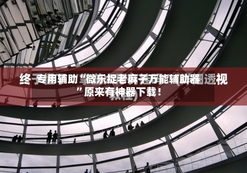 专用辅助“微乐捉老麻子万能辅助器”原来有神器下载！