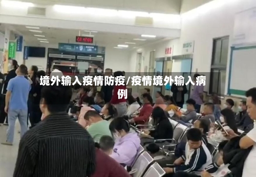 境外输入疫情防疫/疫情境外输入病例