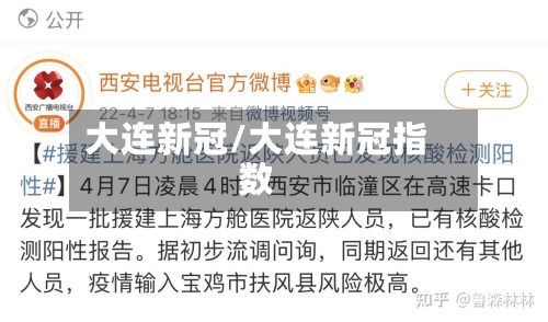 大连新冠/大连新冠指数