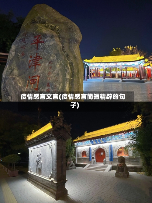 疫情感言文言(疫情感言简短精辟的句子)