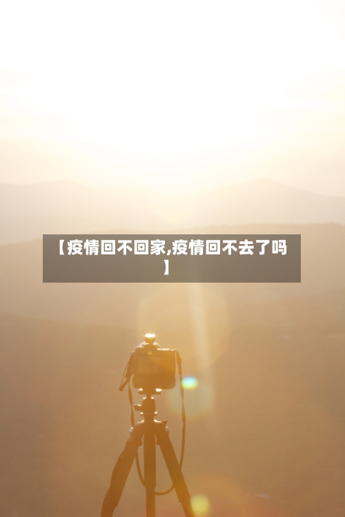 【疫情回不回家,疫情回不去了吗】-第2张图片