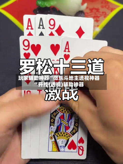 玩家辅助神器“微乐斗地主透视神器”开挂(透视)辅助神器