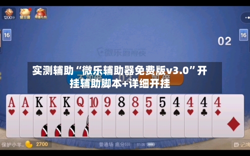 实测辅助“微乐辅助器免费版v3.0”开挂辅助脚本+详细开挂-第2张图片