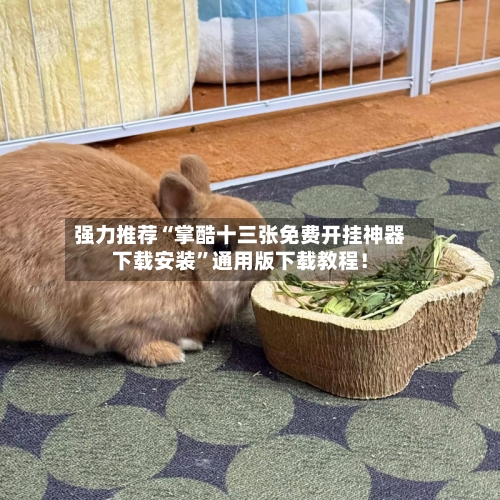 强力推荐“掌酷十三张免费开挂神器下载安装”通用版下载教程！-第3张图片