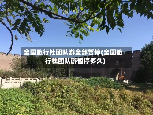 全国旅行社团队游全部暂停(全国旅行社团队游暂停多久)-第2张图片