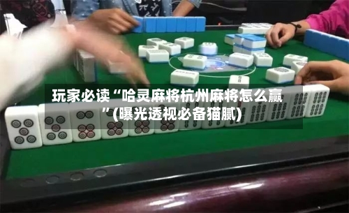 玩家必读“哈灵麻将杭州麻将怎么赢	”(曝光透视必备猫腻)-第2张图片