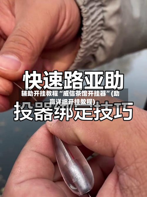 辅助开挂教程“威信茶馆开挂器”(助赢详细开挂教程)-第2张图片