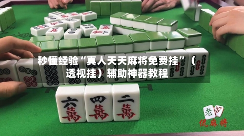 秒懂经验“真人天天麻将免费挂”（透视挂）辅助神器教程