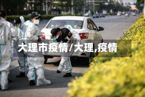 大理市疫情/大理,疫情