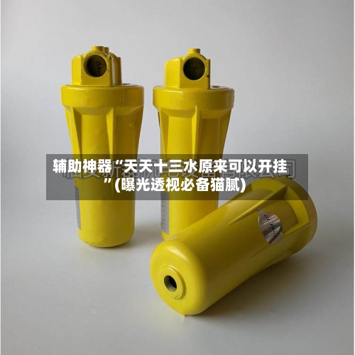 辅助神器“天天十三水原来可以开挂	”(曝光透视必备猫腻)-第2张图片